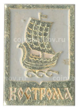 Значок Кострома