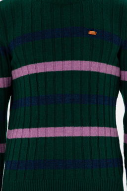 Erkek Regular Fit Bisiklet Yaka Koyu Ye_il Kazak - U.s. polo assn фото 6