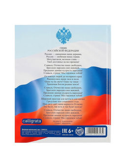 Дневник универсальный для 1-11 классов, Символика-5, твердая обложка 7БЦ, глянцевая ламинация, 40 листов - Calligrata фото 13