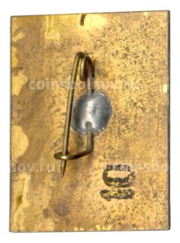 Значок Кисловодск