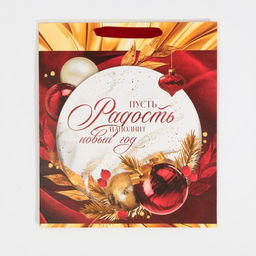Цена за 2 шт. Пакет подарочный новогодний ламинированный «Радость рядом с тобой», M 26 х 30 х 9 см