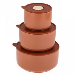 Три медведя Салатник-контейнер фарфоровый, набор 3 штуки: 300мл, д9,3х6,8см; 580мл, д12,6х7,1см; 820мл д14,9х7,3см, цветной, цвет - капучино, пластмассовая крышка, герметичная, с пароотводом, в подарочной коробке (Китай) - Домашняя мода фото 2