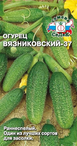 Огурец Вязниковский-37 0,5г (СеДеК)