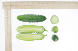 Огурец пчелоопыляемый Спринт - Партнер фото 6