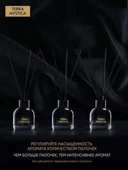 Ароматический диффузор Breesal TERRA MYSTICA Essence (Сущность)  фото 4