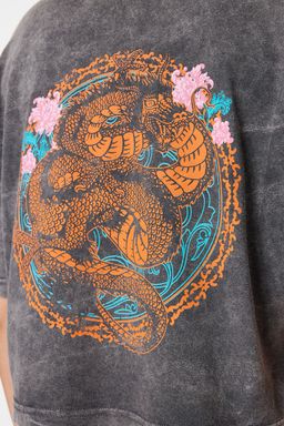 TRENDYOLMILLA Antrasit %100 Pamuk Soluk Efektli S?rt Bask?l? Relaxed Crop Orme T-Shirt TWOSS23TS00116  фото 12