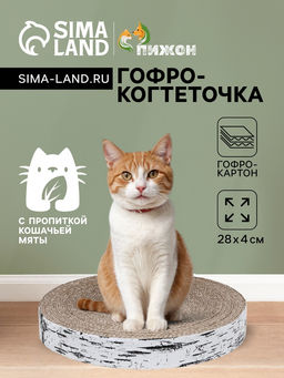 Гофрокогтеточка Пижон высокая круглая Спил березы, с пропиткой, 28 х 4 см  фото 14