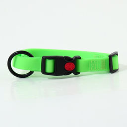 Ошейник для собак биотановый, ОШ 25-45 см, зелёный