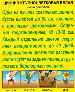 Цинния Крупноцветковая белая 0,3г (Аэлита)