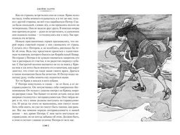 Питер Пэн и Венди. Дети воды. Ветер в ивах (илл. Э. Б. Вудворд, У. Х. Робинсон, А. Рэкхэм). Барри Дж.М., Кингсли Ч., Грэм К. - Азбука фото 3