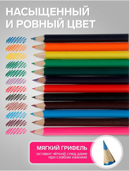 Карандаши Calligrata «Принцесса», цветные, 12 цветов деревянные, трёхгранные, мини