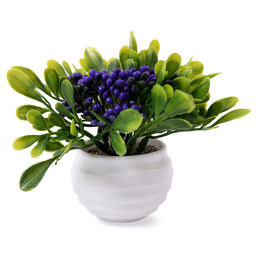 Искусственное растение Blumentag ATF-01 Растение искусственное в кашпо 12.5 х 10 см 1 шт. 01