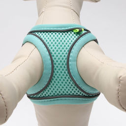 Комплект с мягкой шлейкой, размер XXS, поводок 150 х 1,5 см, ОГ 28-30 см, ОШ 24-26 см, бирюз - Пижон фото 5