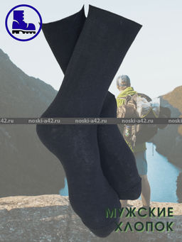 Цена за 10 пар. Пирамида носки мужские М-10 черные 29  фото 47