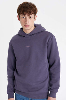 Regular Fit Kapusonlu Yaz? Bask?l? Sweatshirt - Defacto фото 5