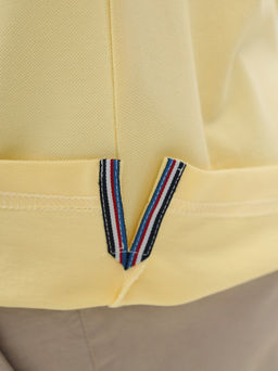 Футболка мужская короткий рукав GREG G145-PO4T-SA0048 (лимон)  фото 4