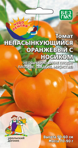 Томат НЕПАСЫНКУЮЩИЙСЯ ОРАНЖЕВЫЙ С НОСИКОМ  Необычайно яркие плоды! Плотные, сладкие, мясистые!