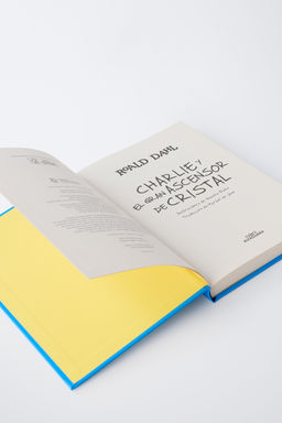 LIBRO INFANTIL CHARLIE Y EL GRAN ASCENSOR DE CRISTAL ROALD DAHL - Zara фото 3