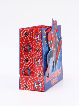 Цена за 2 шт. Пакет подарочный «Супергерой», 22 × 22 × 10 см