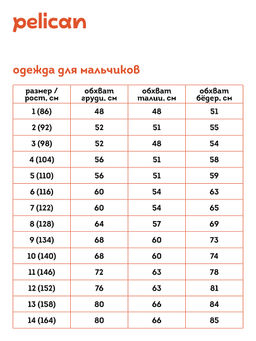 BFJS3362 Джемпер для мальчиков - Pelican фото 3