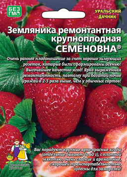 Земляника СЕМЁНОВНА® за лето с одного куста можно собрать около 2 кг ягод!