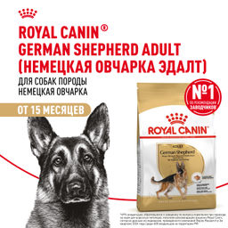 RC Для собак взрослой Немецкой овчарки: с 15 мес. (German Shepherd 24) 25181100R0