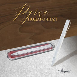 Ручка подарочная, шариковая «Супер» в пластиковом футляре, поворотная, серебристая