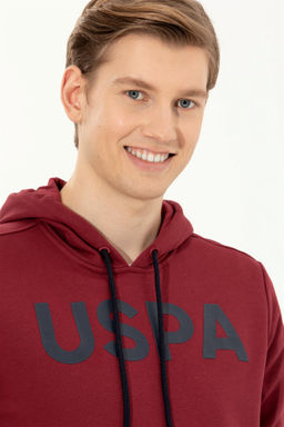 Мужской базовый свитшот Cherry Неожиданная скидка в корзине - U.s. polo assn фото 2