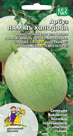 Арбуз ПАМЯТЬ ХОЛОДОВА  Раннеспелый сорт для Сибири и Урала! Мякоть розово-малиновая, сладкая, сочная! Выдерживает пониженные температуры!