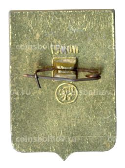 Значок Арзамас