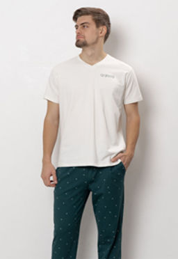 ФУТБОЛКА МУЖСКАЯ арт. 6523M-20096.5H-921.1324