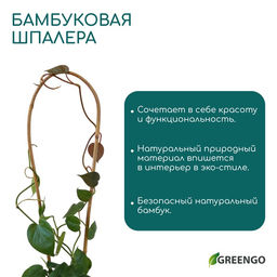 Цена за 3 шт. Дуга для подвязки растений, h=40 см, бамбук, Greengo