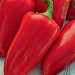 5057D Перец сладкий Арсенал 5шт