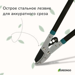 Сучкорез контактный, 31 (79 см), с наковальней, с пластиковыми ручками, МИКС, Greengo  фото 2