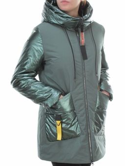 BM-926 SWAMP Куртка демисезонная женская АЛИСА (100 гр. синтепон)