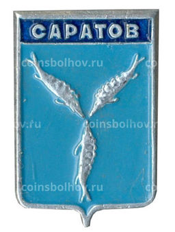 Значок Саратов