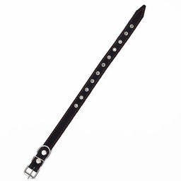 Ошейник кожаный однослойный, безразмерный, 56 х 2.5 см, ОШ 17-44 см, синий - Пижон фото 3