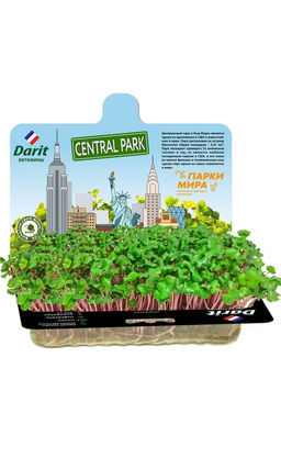 DARIT (ДАРИТ) НАБОР ИНДАУ Влияет на обмен веществ в организме, способствует выведению холестерина и повышению уровня гемоглобина!