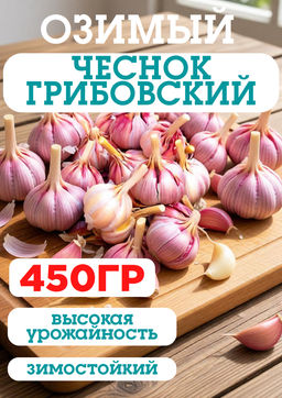 Чеснок Озимый Грибовский/фракция 40мм+/Россия/ 450гр