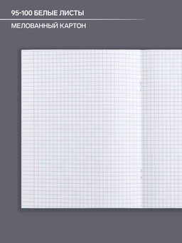 Цена за 5 шт. Тетрадь предметная 48 листов в клетку Calligrata «Животные. Информатика», обложка мелованный картон