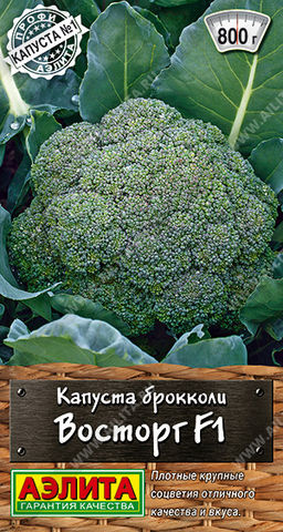 Капуста брокколи Восторг F1 (2028