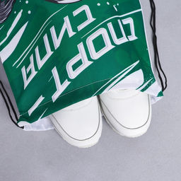 Мешок для обуви «Спорт - сила» (полиэстер) 41×34 см