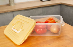 Контейнер для продуктов 4л 310х200х105мм Practic