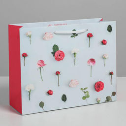 Пакет ламинированный горизонтальный Ты прекрасна, MS 18 23 8 см