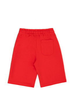 Красные вязаные шорты для мальчика Неожиданная скидка в корзине - U.s. polo assn фото 2