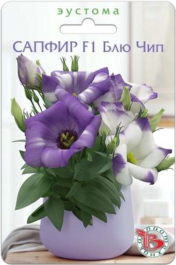 2c0e5b93868de7fb35d5ada1f91227521lgqf4gioykz5fxoyo