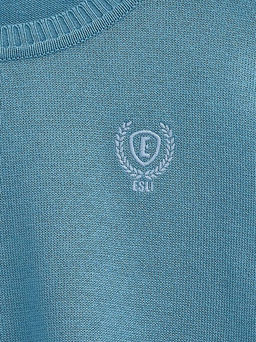 ESLI Джемпер для мальчиков 16С-32СП бирюзовый