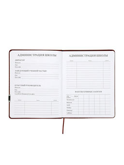 Дневник школьный 1-11 класс, лассе, обложка искуственная кожа коричневая, с хляст, с ручкой   109690