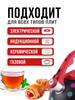 30956 Чайник 2,5 л со свистком нерж MB (х12) - Mayer&boch фото 9