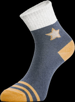 Цена за 2 пары. Носки классические CHOBOT Носки детские 30s-27